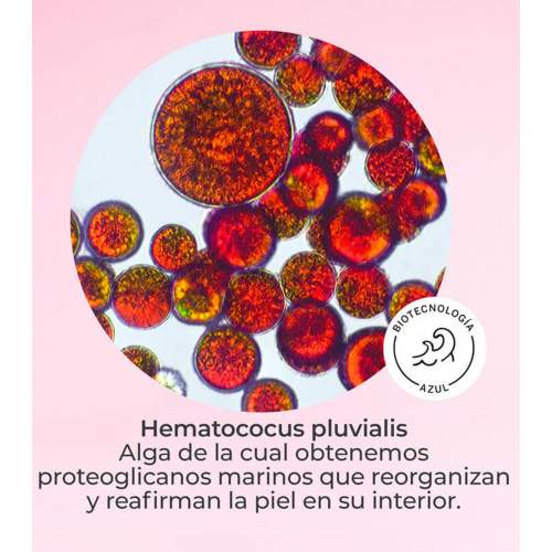 SEGLE - Effet sérum visage flash lifting DMAE LIFT 10