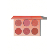 SHEGLAM - Palette de fards à joues en poudre Floral Flush - Cottage Core Garden