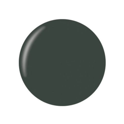 Technic Cosmetics - Vernis à ongles mat - Amazonian