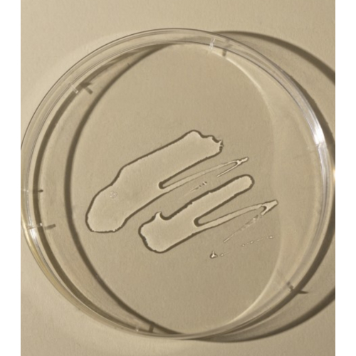 Toun 28 - Tonique pour le visage Propolis Balance Toner