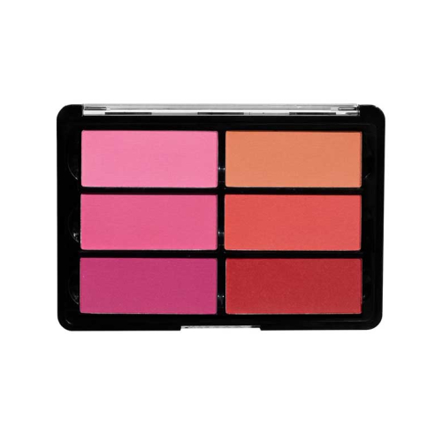 Viseart - Palette Blush Poudre - VBL02: Rose/Coral