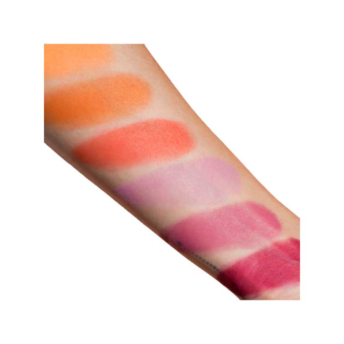Viseart - Palette Blush Poudre - VBL02: Rose/Coral