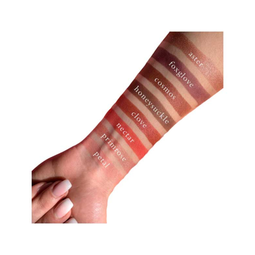 Viseart - Palette de fards à paupières Petit Pro - 02: Deux