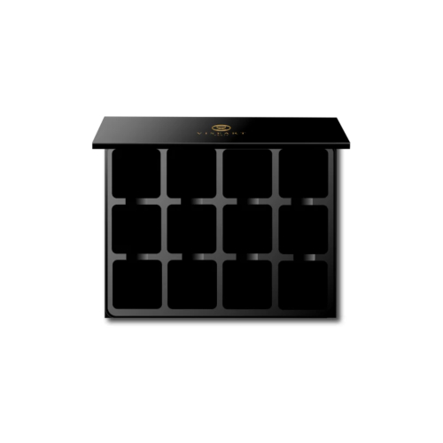 Viseart - Palette magnétique vide Empty 12-Well VISEPRO™