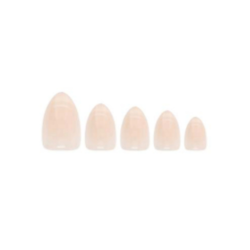 W7 - Faux ongles Glamorous Nails - Champagne Fizz