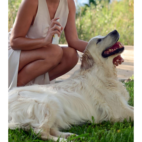 Wailoha - *Maldito Perro Sensual* - Pet Colony Ríos de Aventuras